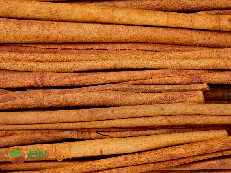 vietnamese-cinnamon-vs-ceylon-unraveling-differences-3