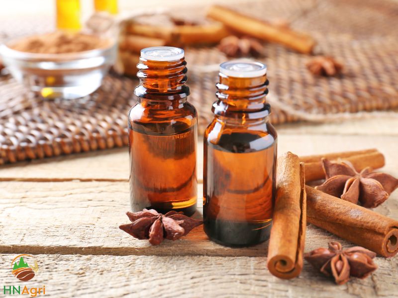 cinnamon-essential-oil-natural-product-bring-great-revenue-1